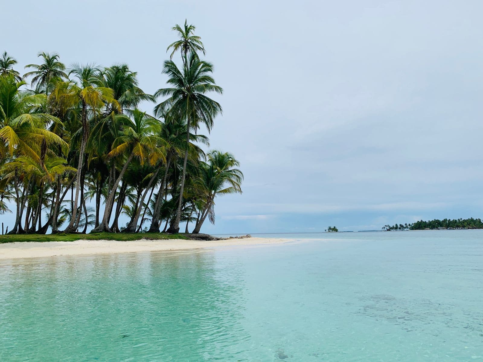A palm-fringed beach with crystal-clear water on the Azuero coast