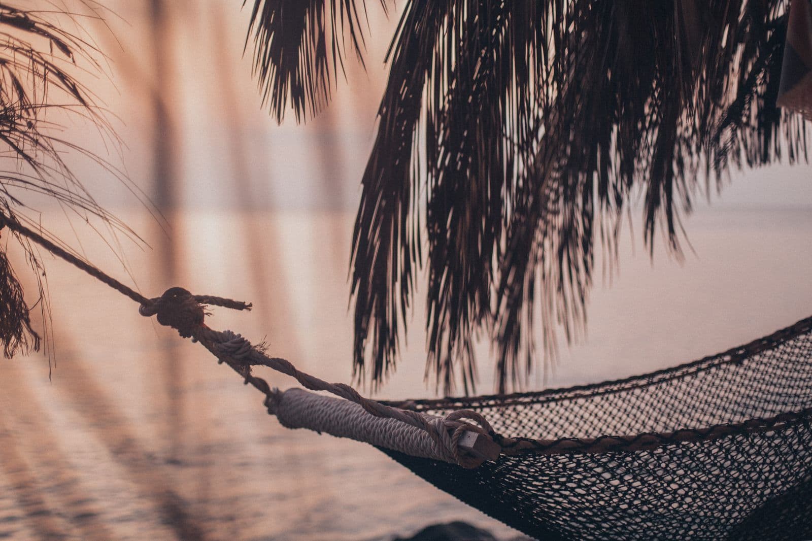 A hammock by the sea at sunset