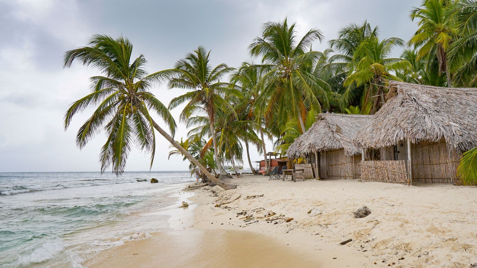 Beachfront huts beneath coconut palms