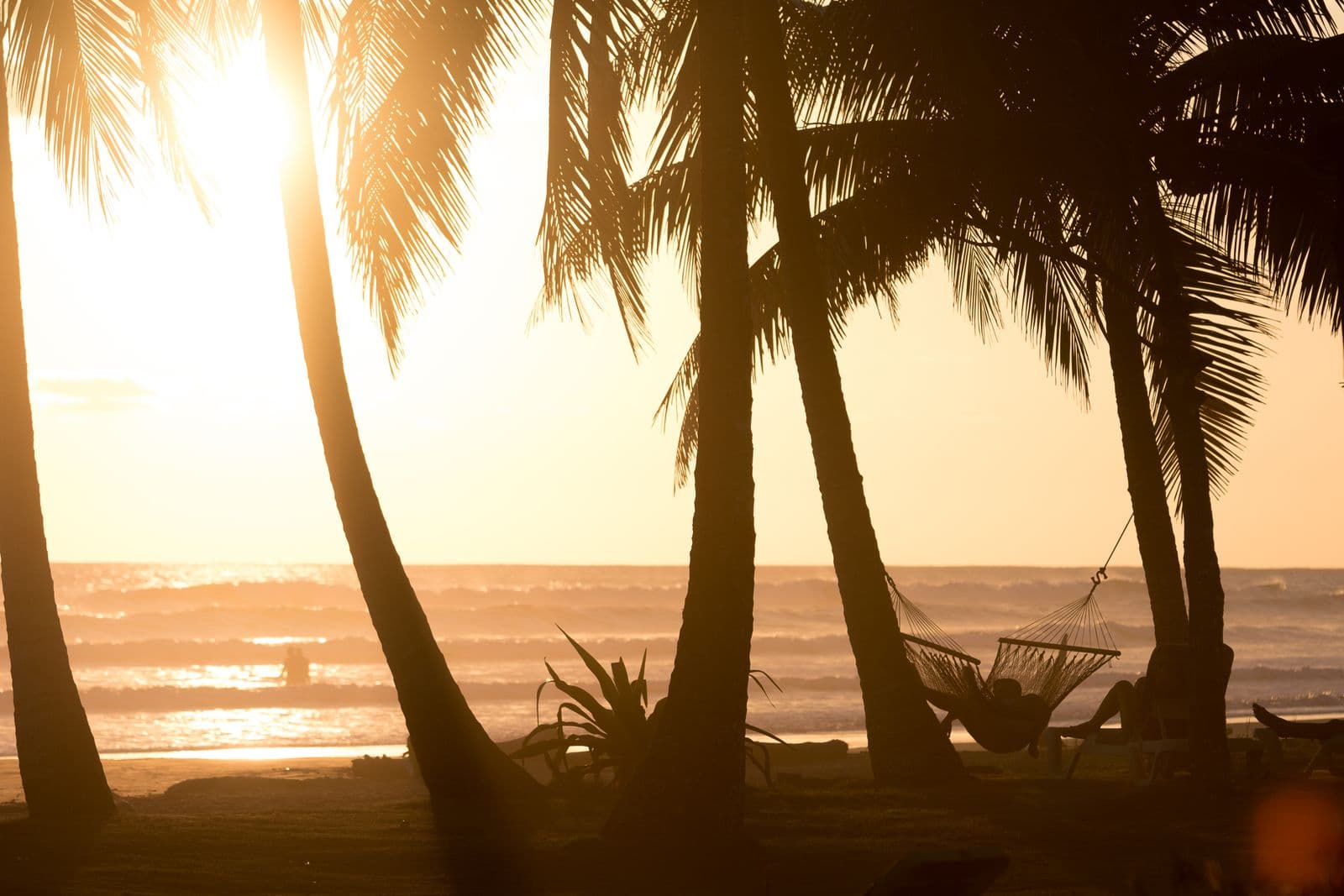 A hammock between palms at sunset on a tropical beach